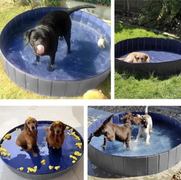 piscină pliabilă pentru un câine